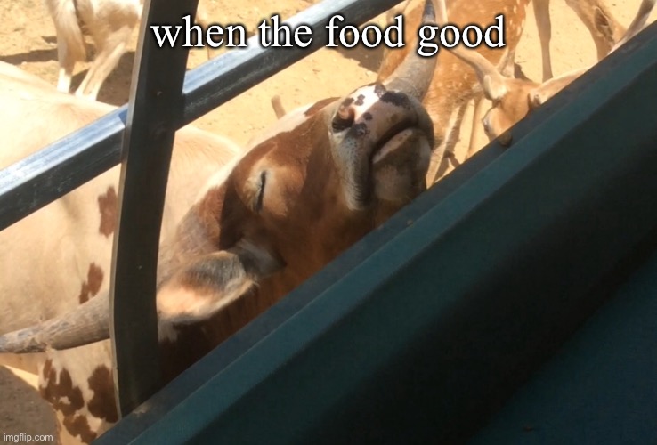 when the food good | when the food good | image tagged in memes,submissions,fun | made w/ Imgflip meme maker