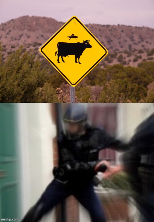 When did this happen | image tagged in cow abducted sign,fbi open up | made w/ Imgflip meme maker