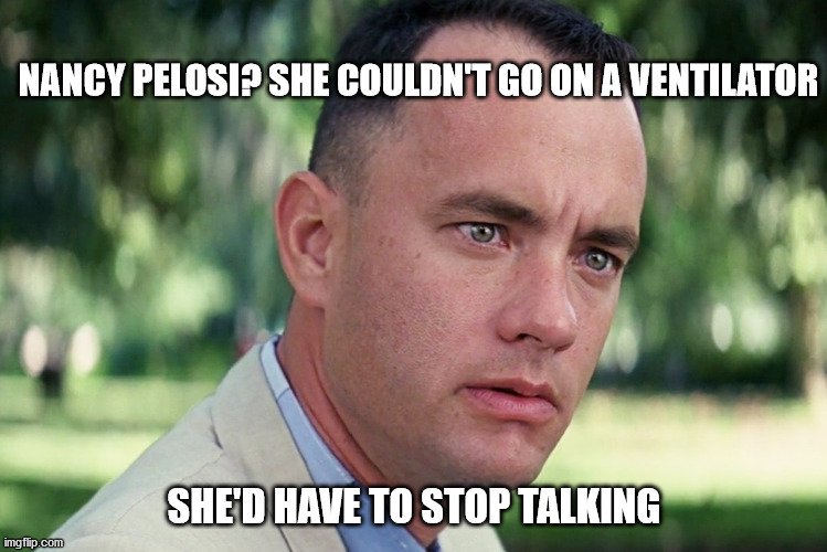 And Just Like That | NANCY PELOSI? SHE COULDN'T GO ON A VENTILATOR; SHE'D HAVE TO STOP TALKING | image tagged in memes,and just like that | made w/ Imgflip meme maker