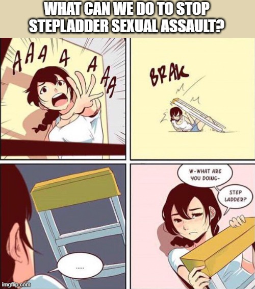 I think I've seen this video | WHAT CAN WE DO TO STOP STEPLADDER SEXUAL ASSAULT? | image tagged in stepladder,stepdaughter,abuse,assault,memes,dark humor | made w/ Imgflip meme maker