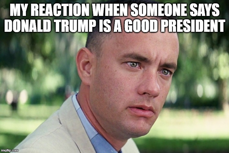 just like that | MY REACTION WHEN SOMEONE SAYS DONALD TRUMP IS A GOOD PRESIDENT | image tagged in memes,and just like that | made w/ Imgflip meme maker