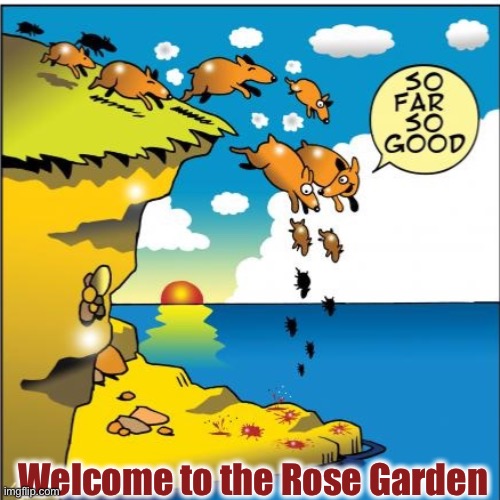 Welcome to the Rose Garden | Welcome to the Rose Garden | image tagged in white house,trump,gop,election,covid-19,covid | made w/ Imgflip meme maker