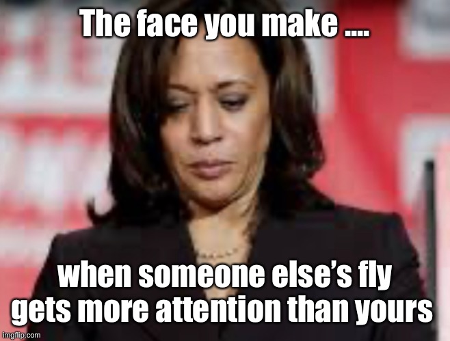 Poor thang | The face you make .... when someone else’s fly gets more attention than yours | image tagged in debate,election 2020 | made w/ Imgflip meme maker
