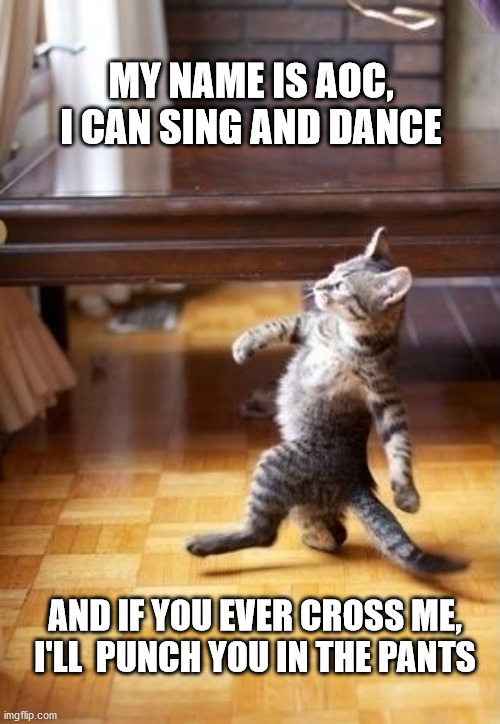 Cool Cat Stroll | MY NAME IS AOC, I CAN SING AND DANCE; AND IF YOU EVER CROSS ME, I'LL  PUNCH YOU IN THE PANTS | image tagged in memes,cool cat stroll | made w/ Imgflip meme maker