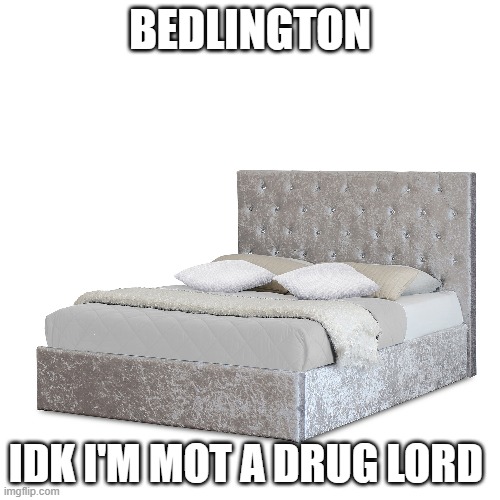 bedlington | BEDLINGTON; IDK I'M MOT A DRUG LORD | image tagged in idk | made w/ Imgflip meme maker