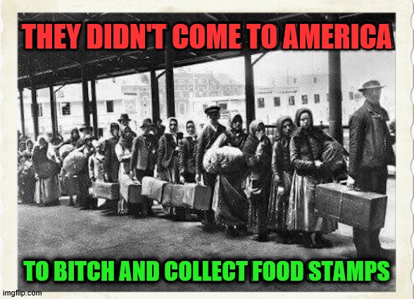 immigration | THEY DIDN'T COME TO AMERICA; TO BITCH AND COLLECT FOOD STAMPS | image tagged in politcs | made w/ Imgflip meme maker