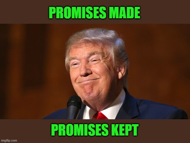 Donald Trump Smiling | PROMISES MADE PROMISES KEPT | image tagged in donald trump smiling | made w/ Imgflip meme maker