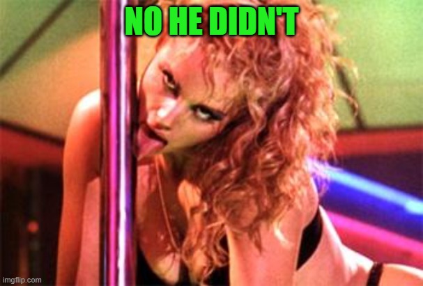 Stripper Pole | NO HE DIDN'T | image tagged in stripper pole | made w/ Imgflip meme maker