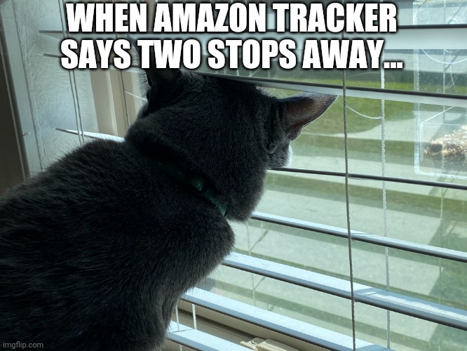 I think I see the van | WHEN AMAZON TRACKER SAYS TWO STOPS AWAY... | image tagged in amazon | made w/ Imgflip meme maker