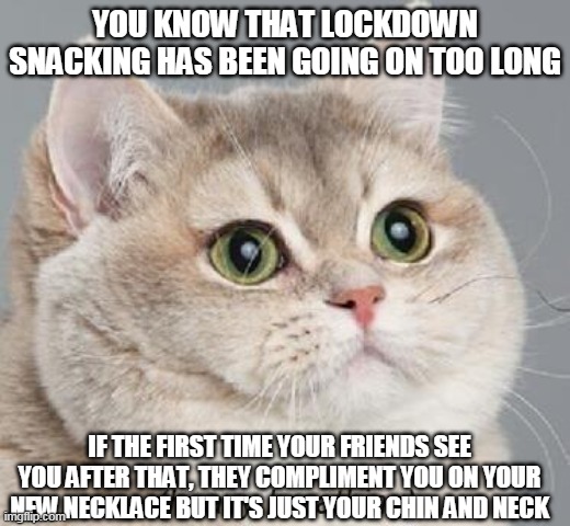 Lockdown weight | YOU KNOW THAT LOCKDOWN SNACKING HAS BEEN GOING ON TOO LONG; IF THE FIRST TIME YOUR FRIENDS SEE YOU AFTER THAT, THEY COMPLIMENT YOU ON YOUR NEW NECKLACE BUT IT'S JUST YOUR CHIN AND NECK | image tagged in memes,heavy breathing cat,weight,cat | made w/ Imgflip meme maker