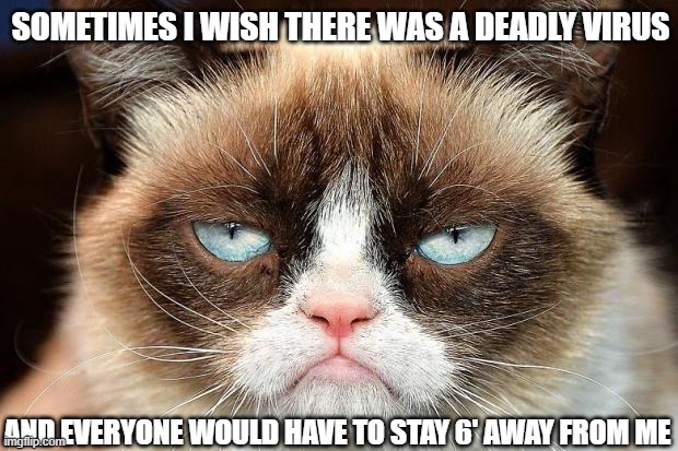 Grumpy Cat Not Amused | SOMETIMES I WISH THERE WAS A DEADLY VIRUS; AND EVERYONE WOULD HAVE TO STAY 6' AWAY FROM ME | image tagged in memes,grumpy cat not amused,grumpy cat | made w/ Imgflip meme maker
