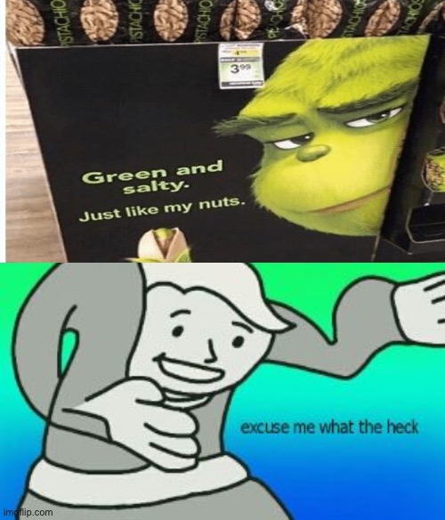 Who watches the grinch 2019 version | image tagged in excuse me what the heck | made w/ Imgflip meme maker