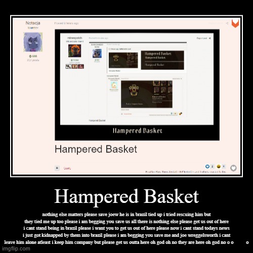 Hampered Basket | nothing else matters please save joew he is in brazil tied up i tried rescuing him but they tied me up too please i am beg | image tagged in funny,demotivationals | made w/ Imgflip demotivational maker