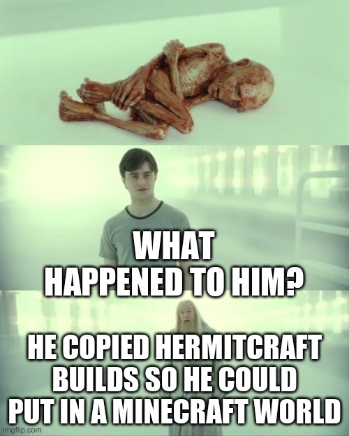 Dead Baby Voldemort / What Happened To Him | WHAT HAPPENED TO HIM? HE COPIED HERMITCRAFT BUILDS SO HE COULD PUT IN A MINECRAFT WORLD | image tagged in dead baby voldemort / what happened to him | made w/ Imgflip meme maker