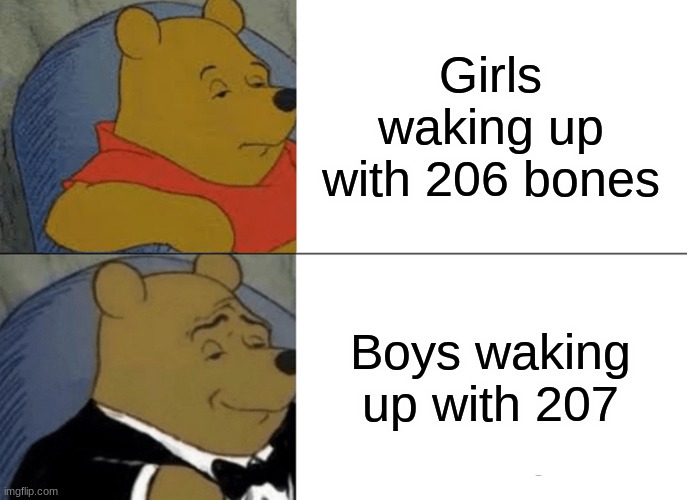 Only boys will get this | Girls waking up with 206 bones; Boys waking up with 207 | image tagged in memes,tuxedo winnie the pooh | made w/ Imgflip meme maker