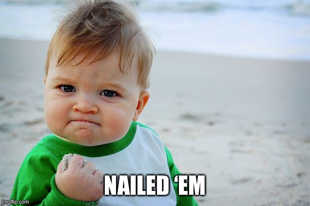 Success Kid / Nailed It Kid | NAILED ‘EM | image tagged in success kid / nailed it kid | made w/ Imgflip meme maker