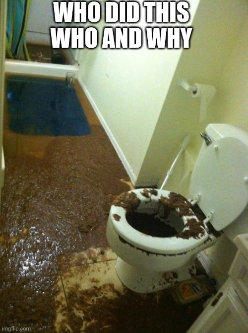 poop | WHO DID THIS WHO AND WHY | image tagged in poop | made w/ Imgflip meme maker