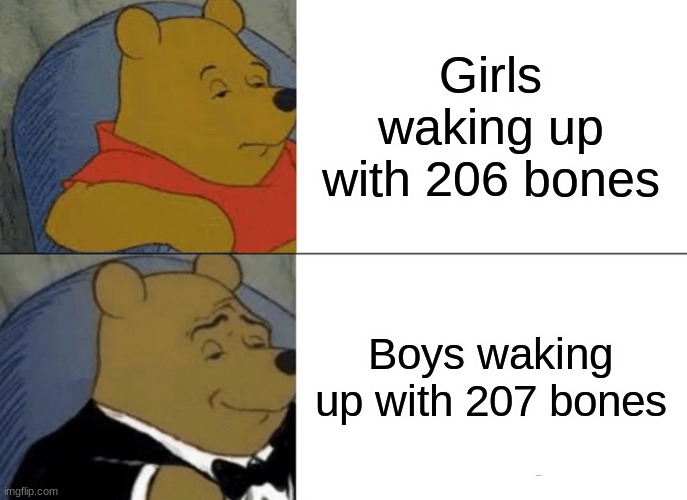 Only boys will get this | Girls waking up with 206 bones; Boys waking up with 207 bones | image tagged in memes,tuxedo winnie the pooh,funny,boys,girls,bones | made w/ Imgflip meme maker