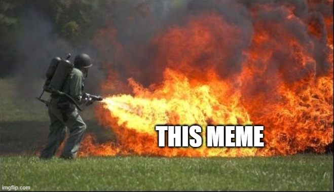 Kill it with fire | THIS MEME | image tagged in kill it with fire | made w/ Imgflip meme maker