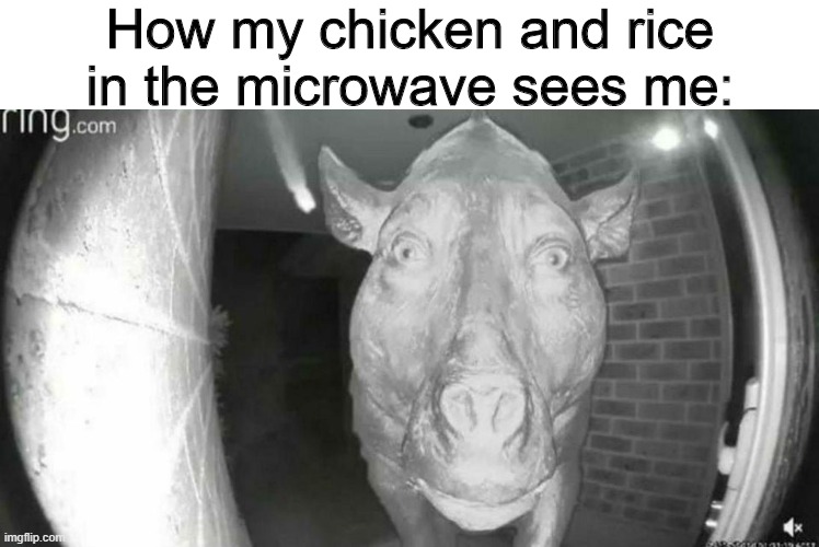 Daeodon at door meme | How my chicken and rice in the microwave sees me: | image tagged in daeodon at the door,memes,food | made w/ Imgflip meme maker