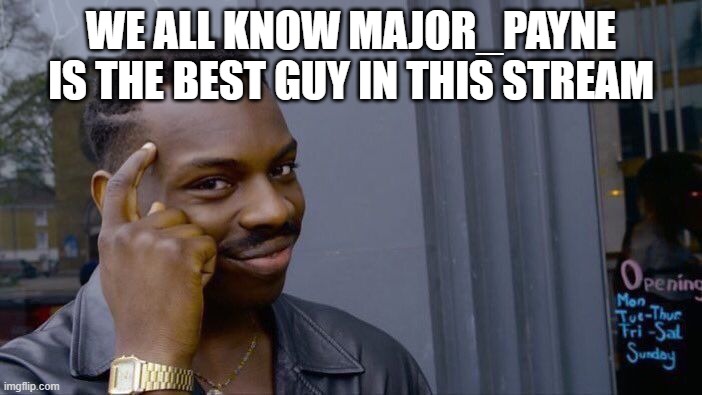 he's epic at rare insults | WE ALL KNOW MAJOR_PAYNE IS THE BEST GUY IN THIS STREAM | image tagged in memes,roll safe think about it | made w/ Imgflip meme maker