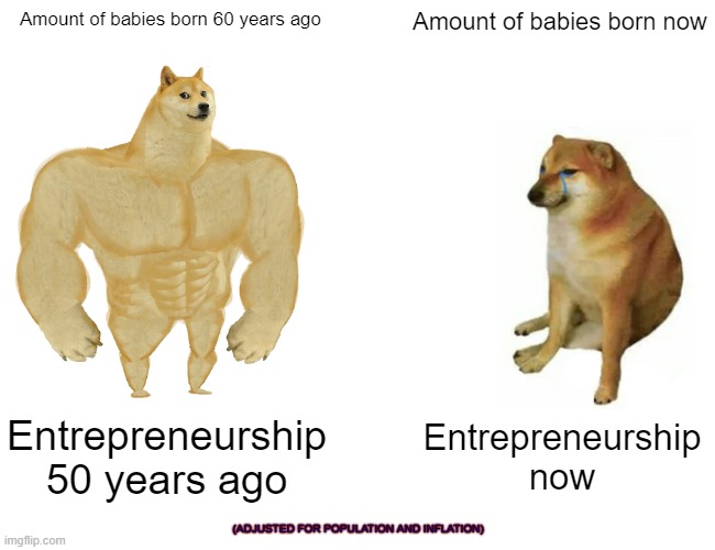 We need to overturn regulations and Roe v Wade! | Amount of babies born 60 years ago; Amount of babies born now; Entrepreneurship 50 years ago; Entrepreneurship now; (ADJUSTED FOR POPULATION AND INFLATION) | image tagged in memes,buff doge vs cheems,abortion is murder,entrepreneur,business,population | made w/ Imgflip meme maker