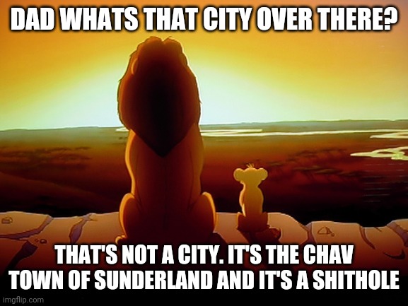 Lion King | DAD WHATS THAT CITY OVER THERE? THAT'S NOT A CITY. IT'S THE CHAV TOWN OF SUNDERLAND AND IT'S A SHITHOLE | image tagged in memes,lion king | made w/ Imgflip meme maker