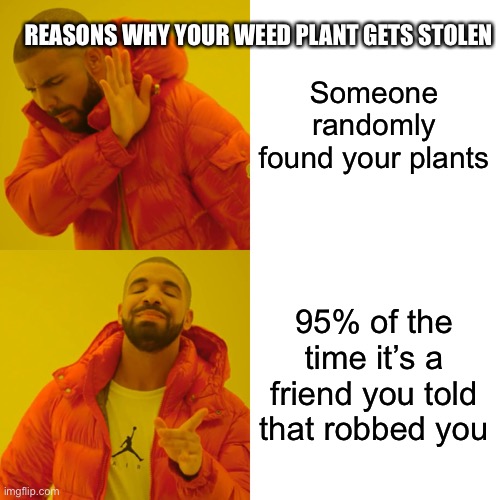 Life lessons that some ppl learn the hard way | REASONS WHY YOUR WEED PLANT GETS STOLEN; Someone randomly found your plants; 95% of the time it’s a friend you told that robbed you | image tagged in memes,drake hotline bling | made w/ Imgflip meme maker