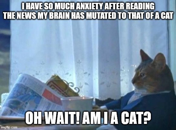 Cat newspaper | I HAVE SO MUCH ANXIETY AFTER READING THE NEWS MY BRAIN HAS MUTATED TO THAT OF A CAT; OH WAIT! AM I A CAT? | image tagged in cat newspaper | made w/ Imgflip meme maker