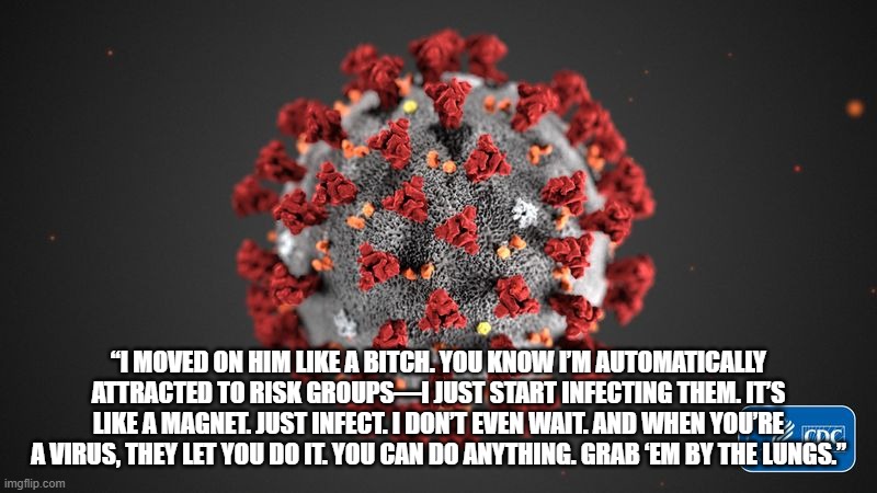 COVID moved on them | “I MOVED ON HIM LIKE A BITCH. YOU KNOW I’M AUTOMATICALLY ATTRACTED TO RISK GROUPS—I JUST START INFECTING THEM. IT’S LIKE A MAGNET. JUST INFECT. I DON’T EVEN WAIT. AND WHEN YOU’RE A VIRUS, THEY LET YOU DO IT. YOU CAN DO ANYTHING. GRAB ‘EM BY THE LUNGS.” | image tagged in covid 19 | made w/ Imgflip meme maker