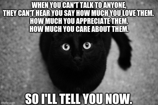Black Cat Loves | WHEN YOU CAN'T TALK TO ANYONE,
THEY CAN'T HEAR YOU SAY HOW MUCH YOU LOVE THEM. 
HOW MUCH YOU APPRECIATE THEM.
HOW MUCH YOU CARE ABOUT THEM. SO I'LL TELL YOU NOW. | image tagged in black cat loves | made w/ Imgflip meme maker