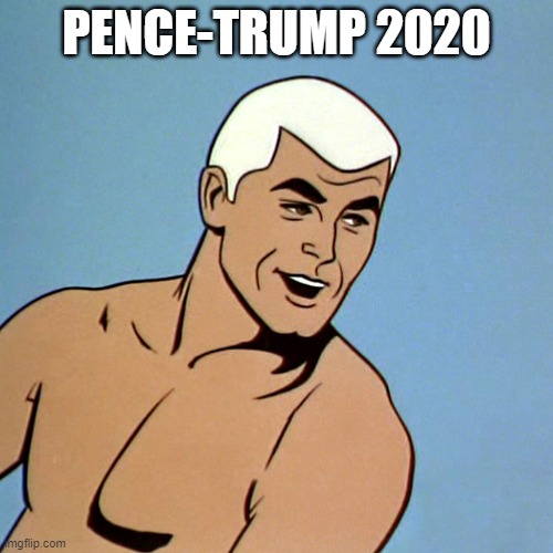 Mike Pence American Hero | PENCE-TRUMP 2020 | image tagged in mike pence american hero | made w/ Imgflip meme maker