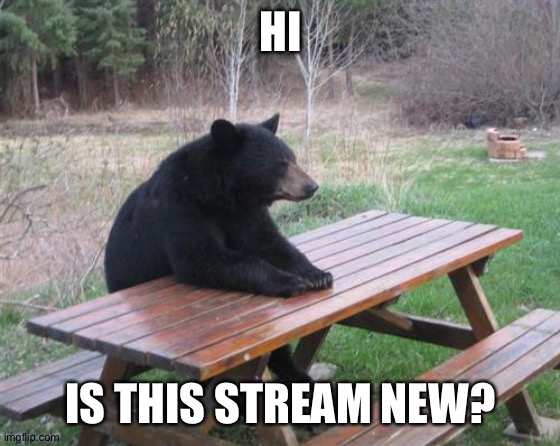 Bad Luck Bear Meme | HI; IS THIS STREAM NEW? | image tagged in memes,bad luck bear | made w/ Imgflip meme maker