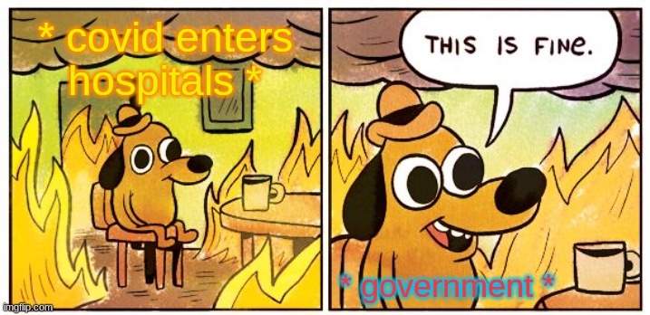 This Is Fine | * covid enters hospitals *; * government * | image tagged in memes,this is fine | made w/ Imgflip meme maker