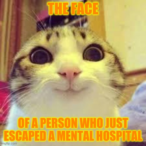 potatos and catshi crazy | THE FACE; OF A PERSON WHO JUST ESCAPED A MENTAL HOSPITAL | image tagged in potatos and catshi crazy | made w/ Imgflip meme maker