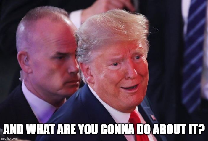 AND WHAT ARE YOU GONNA DO ABOUT IT? | image tagged in donald trump | made w/ Imgflip meme maker