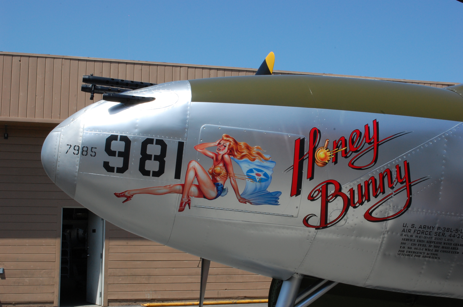 High Quality Honey Bunny Nose-Art  P-38 Blank Meme Template