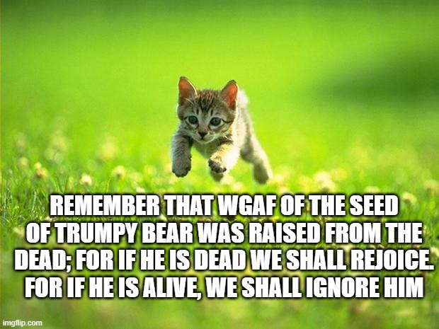 4i2441.jpg