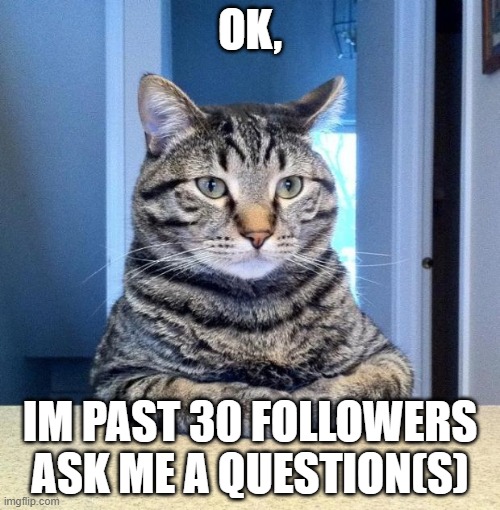 Serious Cat | OK, IM PAST 30 FOLLOWERS
ASK ME A QUESTION(S) | image tagged in serious cat | made w/ Imgflip meme maker