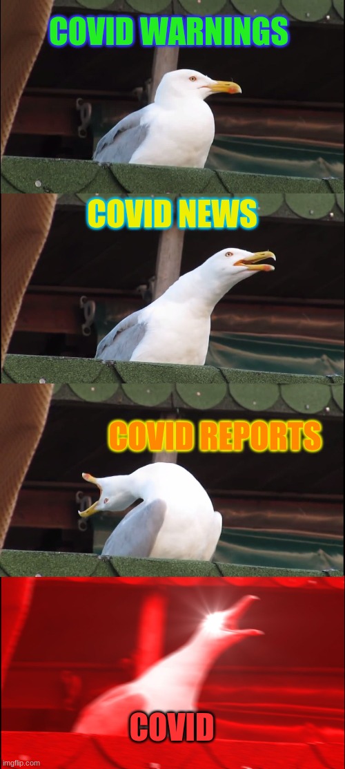 Inhaling Seagull | COVID WARNINGS; COVID NEWS; COVID REPORTS; COVID | image tagged in memes,inhaling seagull | made w/ Imgflip meme maker