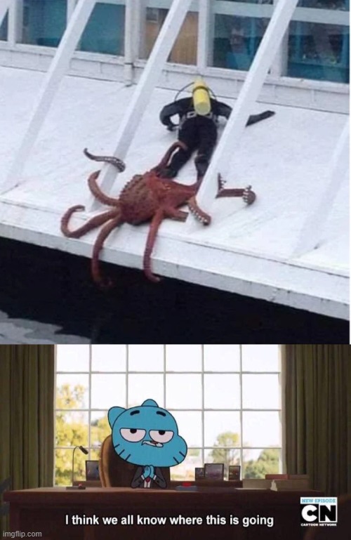 Tentacles | image tagged in i think we all know where this is going,memes,funny,octopus,tentacles | made w/ Imgflip meme maker
