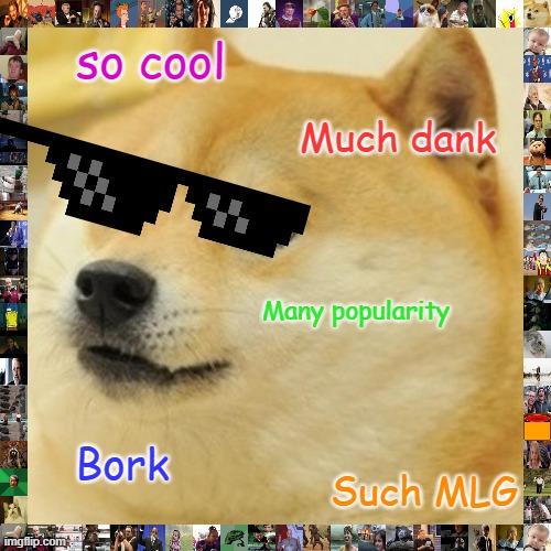 doge becomes mlg | so cool; Much dank; Many popularity; Bork; Such MLG | image tagged in memes,doge | made w/ Imgflip meme maker