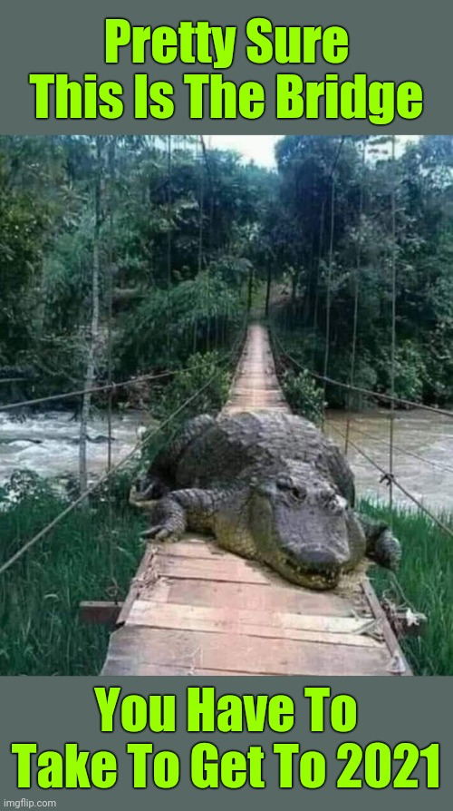 "Some of you may die, but that is a risk I'm willing to take" | Pretty Sure This Is The Bridge; You Have To Take To Get To 2021 | image tagged in memes,2021,shrek,lord farquaad,reptile,animals | made w/ Imgflip meme maker