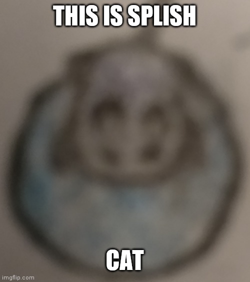 Splish |  THIS IS SPLISH; CAT | made w/ Imgflip meme maker