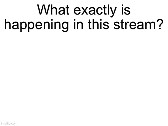 Blank White Template | What exactly is happening in this stream? | image tagged in blank white template | made w/ Imgflip meme maker