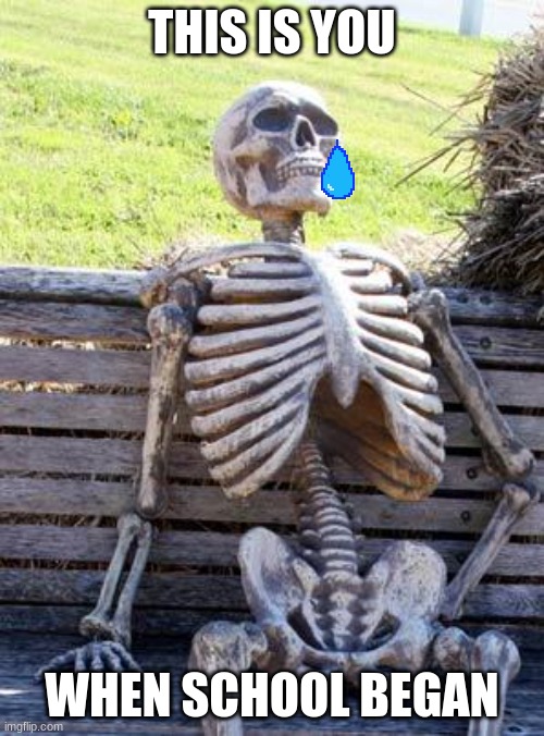 BORING | THIS IS YOU; WHEN SCHOOL BEGAN | image tagged in memes,waiting skeleton | made w/ Imgflip meme maker