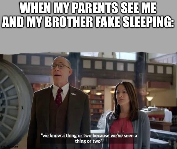 We know a thing or two because we've seen a thing or two | WHEN MY PARENTS SEE ME AND MY BROTHER FAKE SLEEPING: | image tagged in we know a thing or two because we've seen a thing or two | made w/ Imgflip meme maker