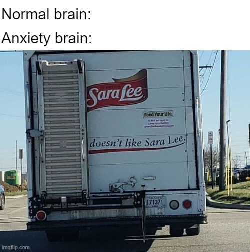 Sarah Doesn't Like | Normal brain:; Anxiety brain: | image tagged in nobody absolutely no one | made w/ Imgflip meme maker