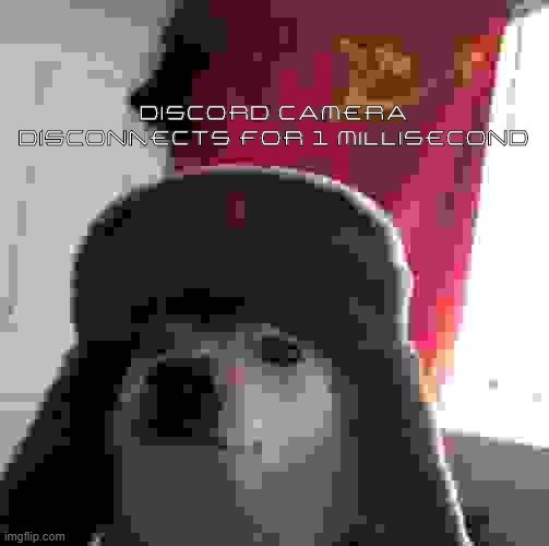 russian doge | DISCORD CAMERA DISCONNECTS FOR 1 MILLISECOND | image tagged in russian doge | made w/ Imgflip meme maker