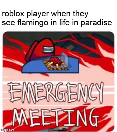 Emergency Meeting Among Us | roblox player when they see flamingo in life in paradise | image tagged in emergency meeting among us,memes,among us,funny,flamingo,gaming | made w/ Imgflip meme maker